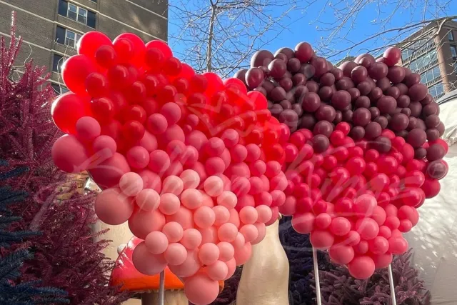 Balloon Kings Dallas